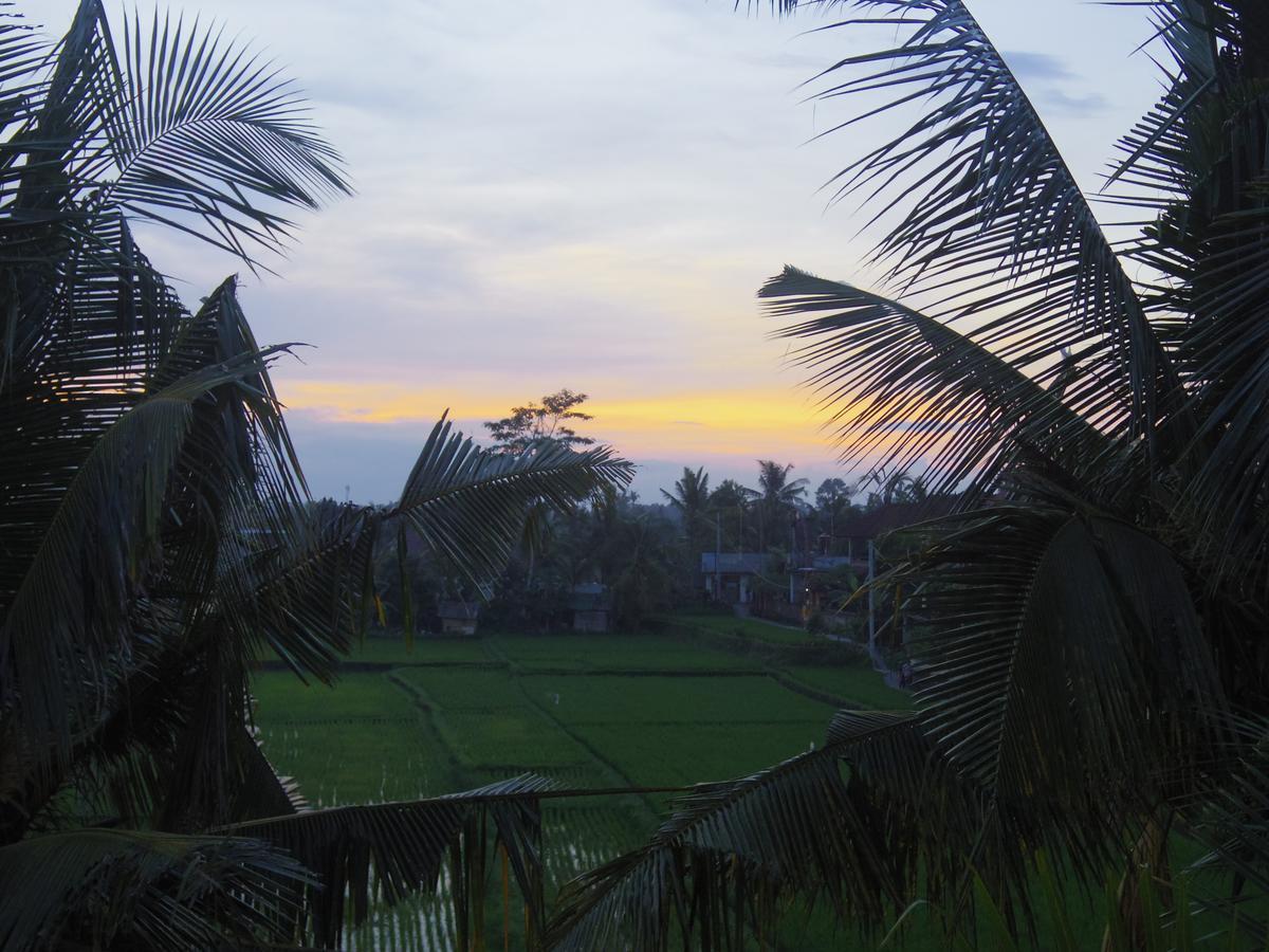 Eden House Ubud ภายนอก รูปภาพ